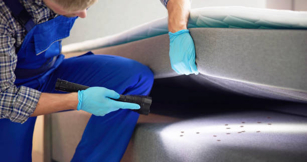 Best Emergency Pest Control  in East End, AR