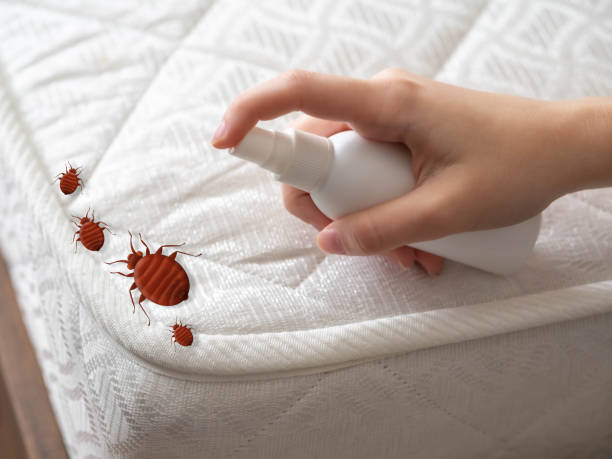 Best Cockroach Control Services  in East End, AR