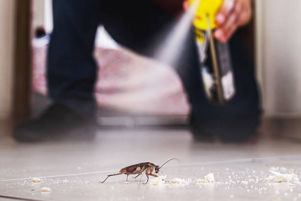 Best Insect Control  in East End, AR