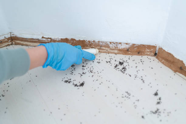 Best Pest Control for Businesses  in East End, AR
